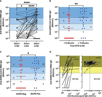 Dynamics of SARS-CoV-2 immunity after vaccination and breakthrough infection in rituximab-treated rheumatoid arthritis patients: a prospective cohort study